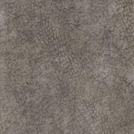 Gạch lát sàn Trường Thịnh STONE TEXTURE AP6004